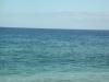 Dolphins 3_thumb.jpg 1.7K